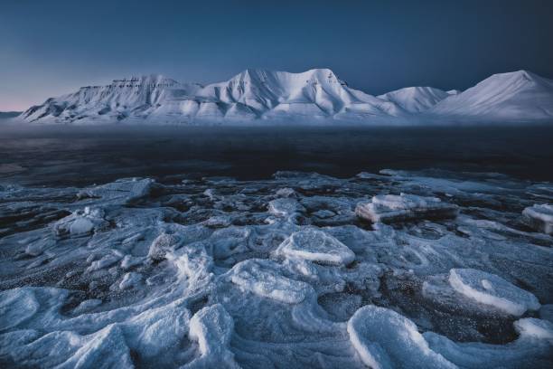 A scenic winter landscape featuring a blanket of snow covering the ground and snow-capped mountains in the background