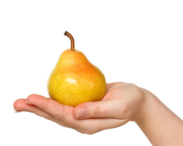 Biten Pear 190+ Hand Give Pear Stock Photos, Pictures & Royalty-Free Images - iStock