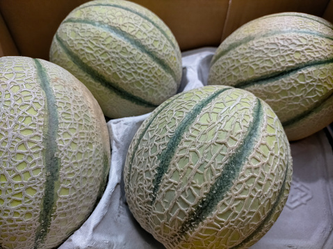 closeup of cantaloupe melons in their transport box