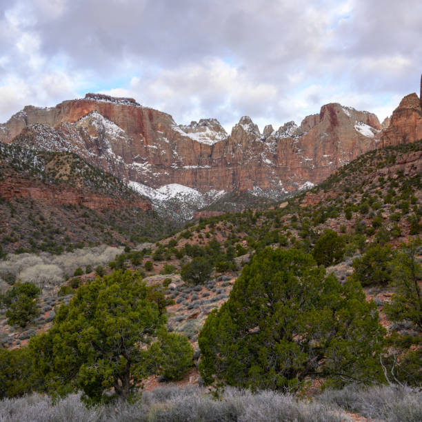 istock Zion National Park 1498698361