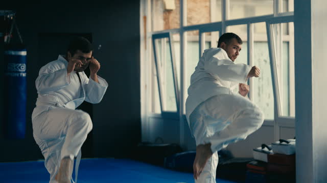 Taekwondo students practicing kicks and punches during training, martial art