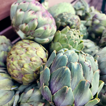 Artichokes displayed in basket at a produce stall in Borough Market in London, England
