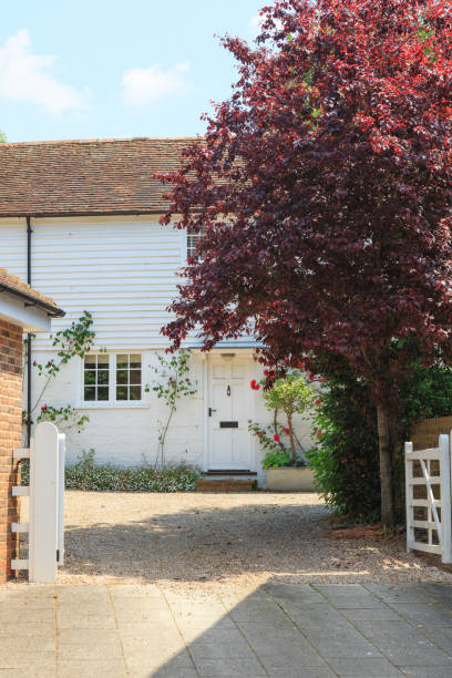 istock British House Door, UK 1498700496
