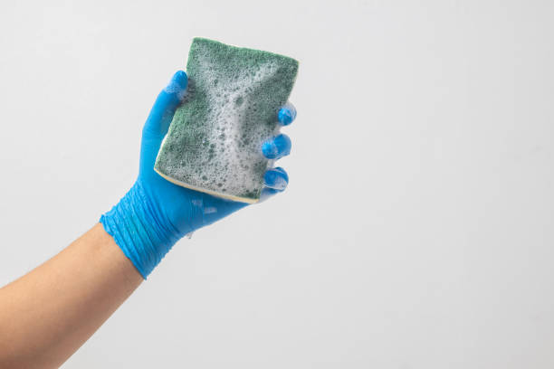 istock Put on gloves and hold a sponge to clean. 1498702574