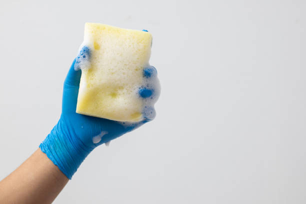 istock Put on gloves and hold a sponge to clean. 1498702612