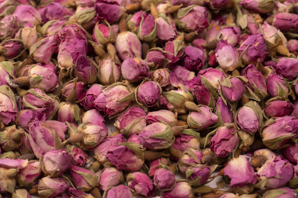 istock Dry tea roses isolated on white background. 1498703161