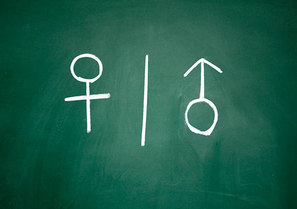 istock women and men sign drawn with chalk on blackboard 149870356