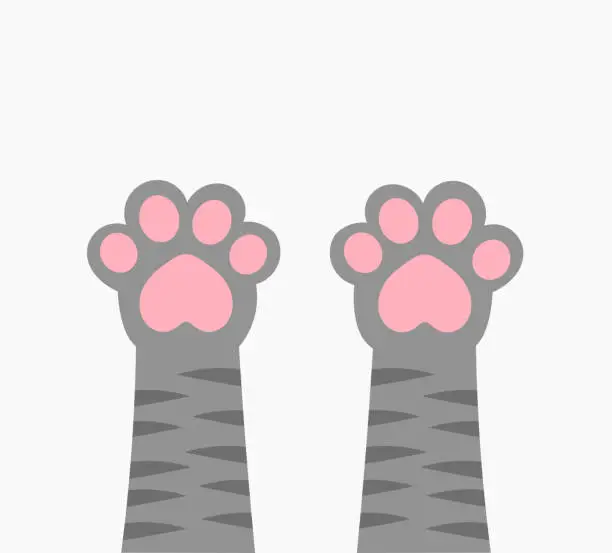 Vector illustration of Cute cat paws up with pink beans.