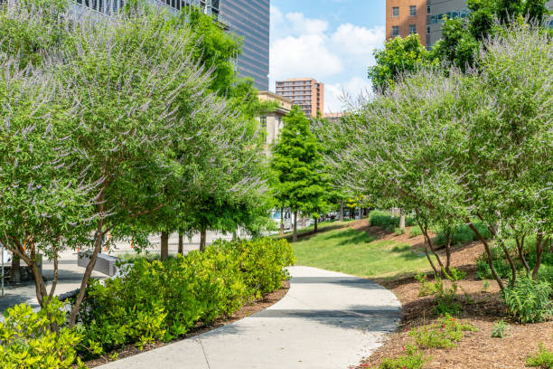 Footpath in public park at Pacific Plaza in Dallas