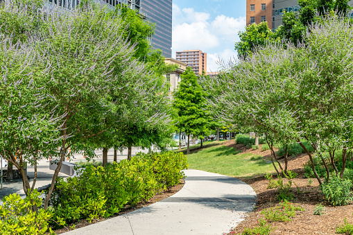 Footpath in public park at Pacific Plaza in Dallas, Texas