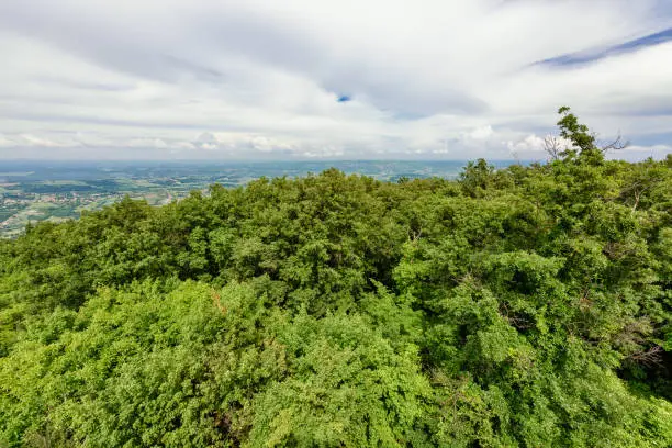 Photo of View From Kosmaj Mountain in Serbia.