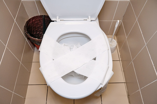 After unclogging the toilet drain and cleaning the bowl, always remember to dispose of the used toilet paper properly and maintain hygiene standards in the household bathroom