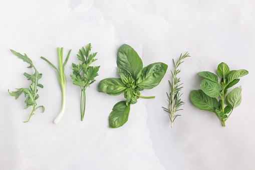 Assortment of fresh green herbs on grey. High quality photo