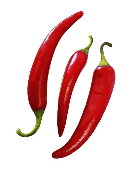 istock ripe red hot chili pepper, on isolated white background. Three jokes 1498713485