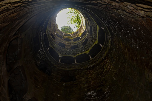 A surreal landscape featuring an open sewer with a bright light at the end of the tunnel, and a tree rooted through the opening