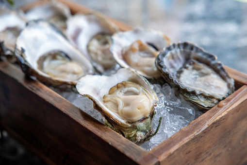 Fresh oysters served in plate with plenty of ice and a dipping bowl of savory sauce