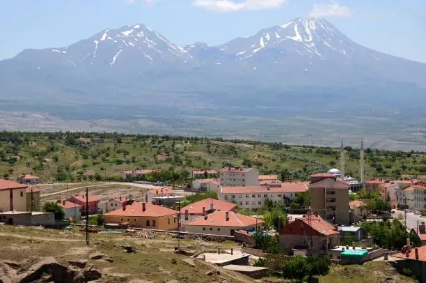 A vibrant village is situated in the foreground, featuring buildings and a few trees, while a majestic mountain looms in the background
