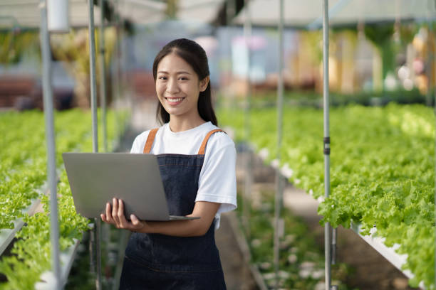 istock Moder young Asian farm worker using laptop computer while working in the graan salad hydroponic farm. 1498724121