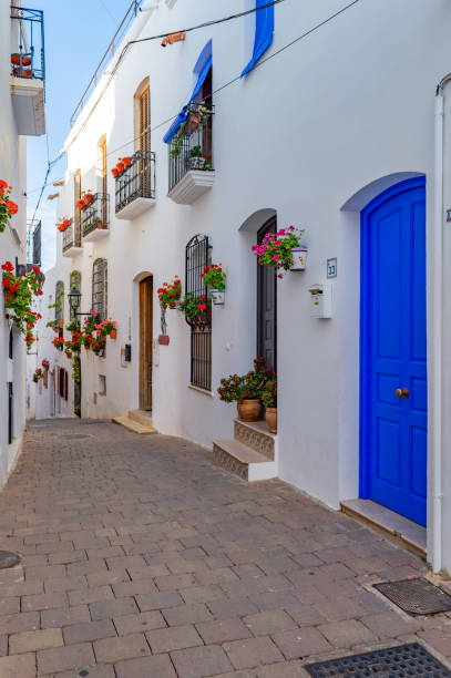 istock Andalusian white village street 1498724227