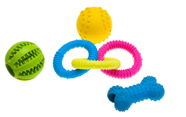 istock dog toys isolated 1498724425
