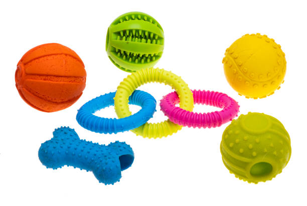 istock dog toys isolated 1498725533