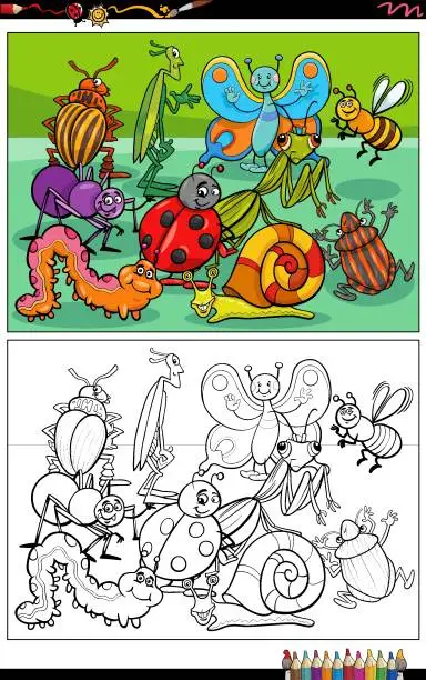 Vector illustration of cartoon insects animal characters group coloring page