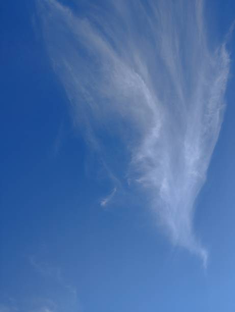 istock Blue sky with white clouds background. Light clouds in the blue sky. 1498733826