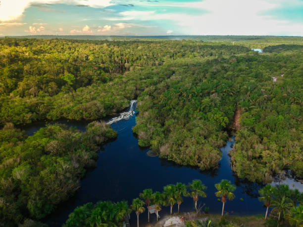 Aerial view of the Amazon Rainforest in Brazil Aerial view of the Amazon Rainforest in Brazil amazon forest stock pictures, royalty-free photos & images