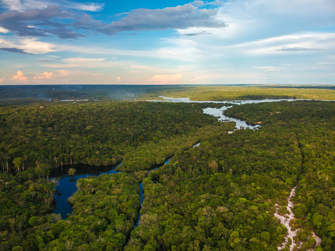 Aerial view of the Amazon Rainforest in Brazil
