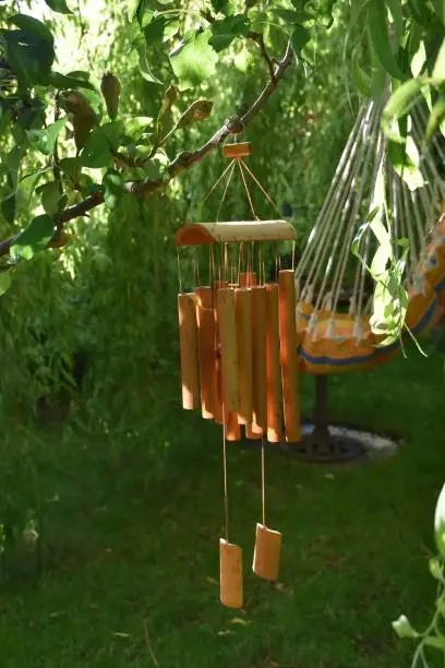 Close up of bamboo wind chimes hanging in the sunlight under a pear tree