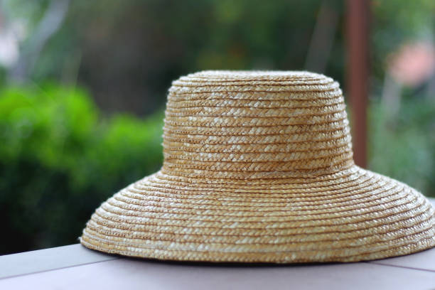 istock Straw Hat in the Garden 1498744116