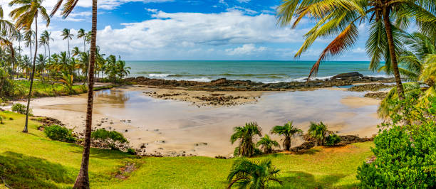 istock Small deserted beach surrounded by coconut trees in Bahia state 1498744144