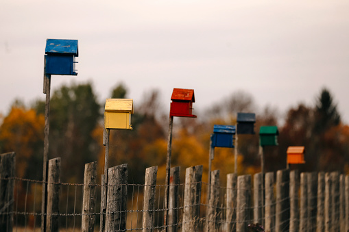 A row of wooden birdhouses along a fence in the country. Sharpest focus on the yellow house.