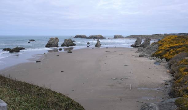 istock Face Rock State Beach Park Oregon 1498748870