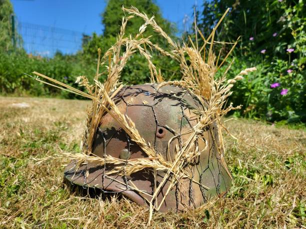 istock German helmet camouflage paint 1498750365