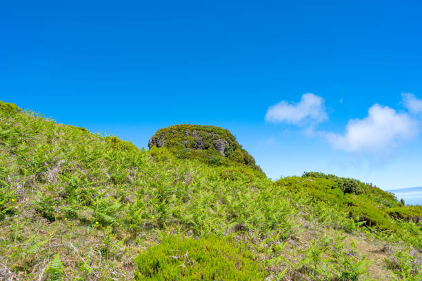istock beautiful landscape in Madeira island 1498752403