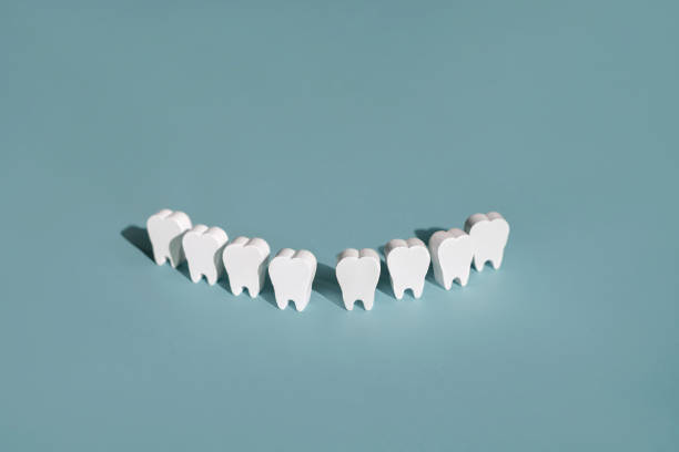 Snow-white perfect models of teeth in a row on a blue background. World Dentist, Hygiene and Dental Health Day