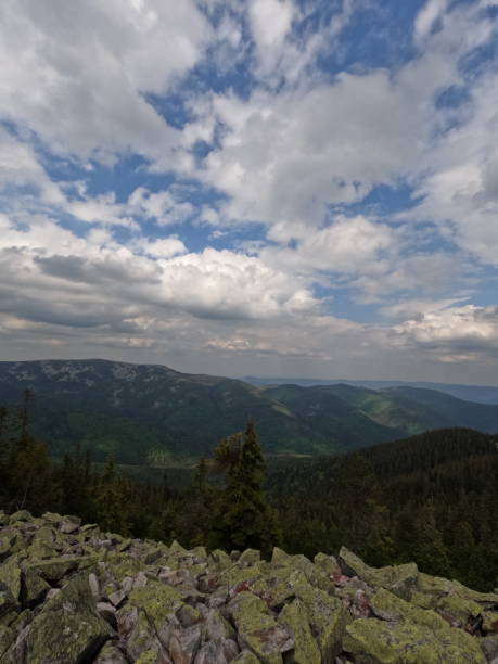 istock Green meadows and valleys of the Carpathians 1498752865