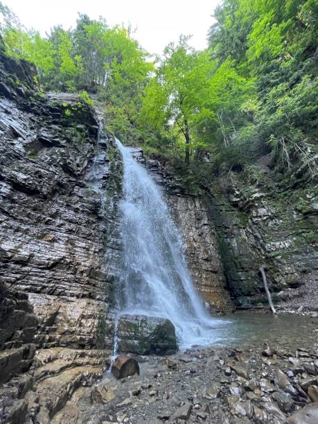 istock Mountain waterfalls, rocks in the Carpathians 1498753555