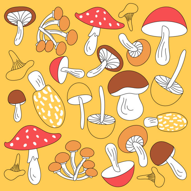 A collection of wild mushrooms in cartoon doodle style with incomplete painting. Mushroom background in trendy colors. Autumn set of cool mushrooms. A collection of wild mushrooms in cartoon doodle style with incomplete painting. little grebe (tachybaptus ruficollis) stock illustrations