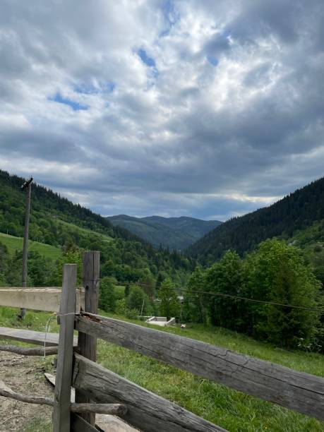 istock Carpathians, view of mountain valleys and ridges covered with lush greenery 1498754184