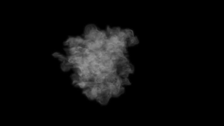 Frosty breathing steam footage with Alpha Channel for Visual FX.