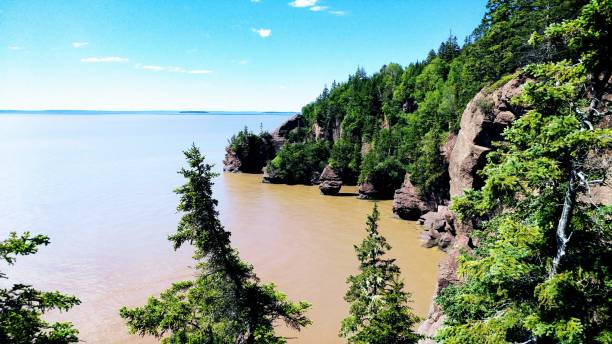 hopewell rocks provincial park fundy bay água de areia marrom new brunswick - sandy brown bay beach sand - fotografias e filmes do acervo