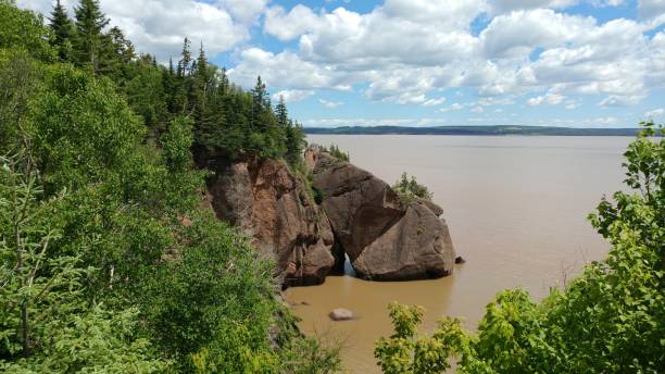 hopewell rocks cliffs park atlantic coast fundy bay brown sandy water new brunswick landscape - sandy brown fotos imagens e fotografias de stock