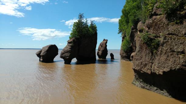 hopewell rocks cliffs park côte atlantique baie de fundy eaux sablonneuses brunes paysage du nouveau-brunswick - sandy brown bay beach sand photos et images de collection