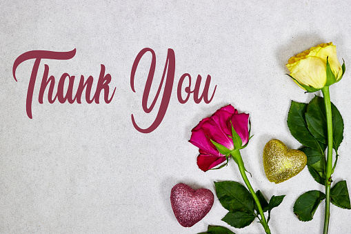 pink and yellow roses flowers and glitters hearts with Thank you on gray background