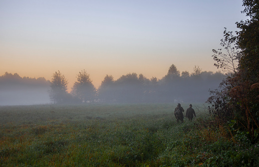Morning autumn landscape with hunters walking in the fog along the edge of the forest. Two men with guns go in search of hunting object at sunrise.