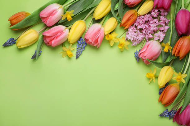 istock Beautiful different flowers on green background, flat lay. Space for text 1498773428