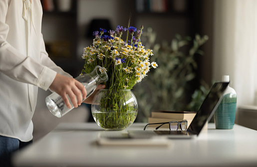 Business woman watering potted plant at workplace