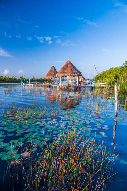 istock Paradise Beach Resort in Bacalar 1498775145